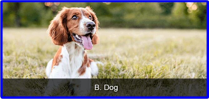 Question3choiceB